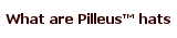 Learn more about Pilleus hats